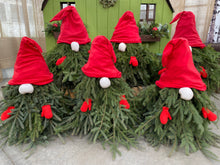 Load image into Gallery viewer, Evergreen Gnome Workshop