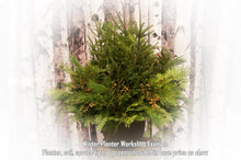 Load image into Gallery viewer, 2026 Evergreen Patio Planter Workshop or Decorating Bar