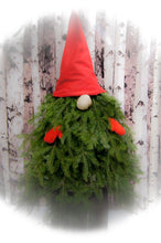 Load image into Gallery viewer, Red Hat Gnome