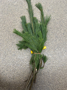 White Pine Bundle 1lb