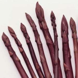 Asparagus - Purple Passion - 5 Roots NOW IN STORE ONLY