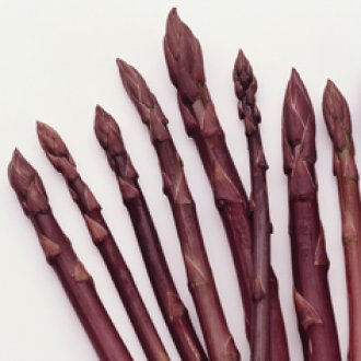 Asparagus - Purple Passion - 5 Roots NOW IN STORE ONLY