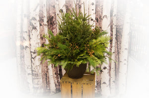 12" Evergreen Planter -Greens Only. Assembled